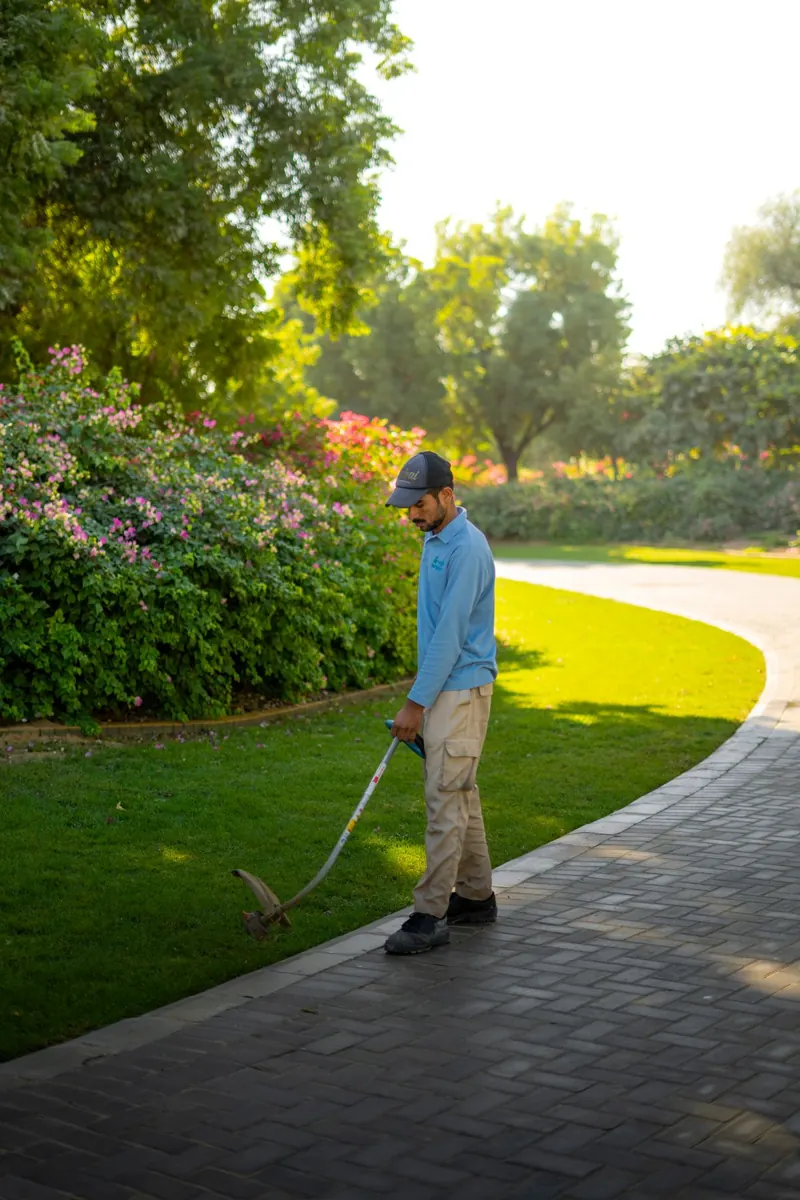 Soft Landscaping illustrative photograph